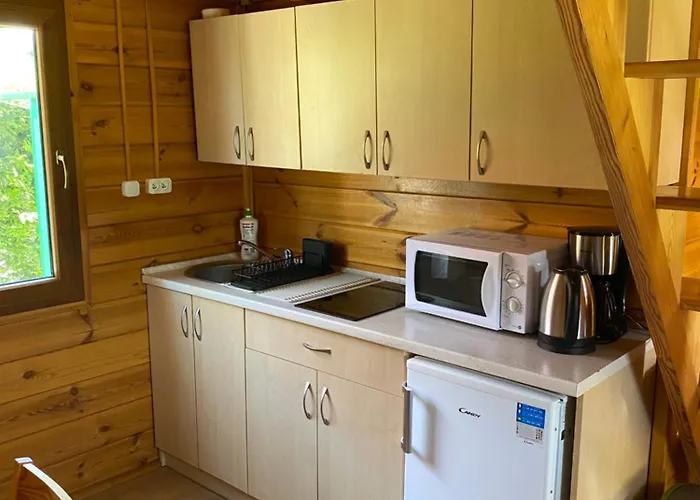 Дом отдыха Dorjan - Letniskowe *