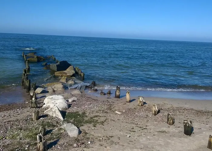 Dorjan - Letniskowe Дом отдыха